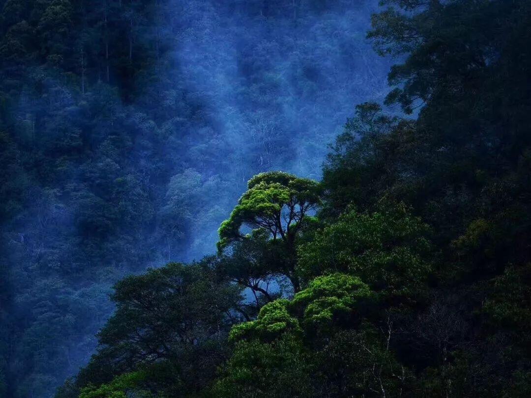 西方大卡车找字母