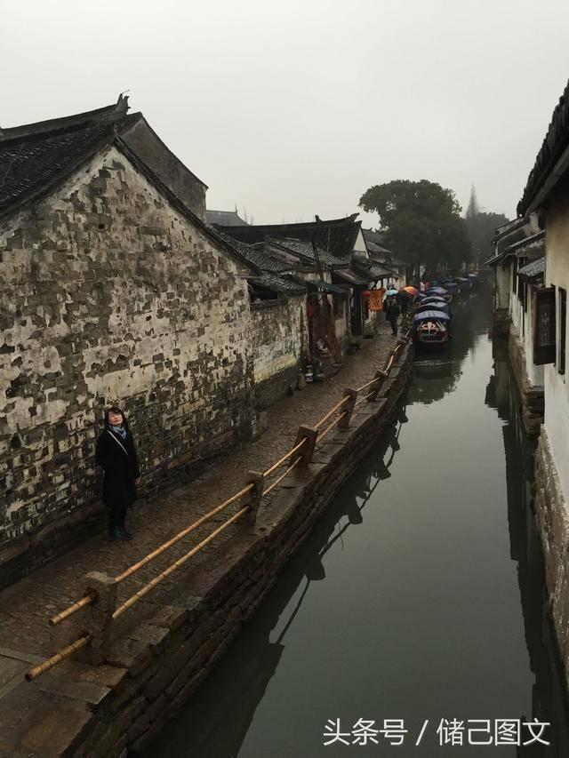 国王的坐骑